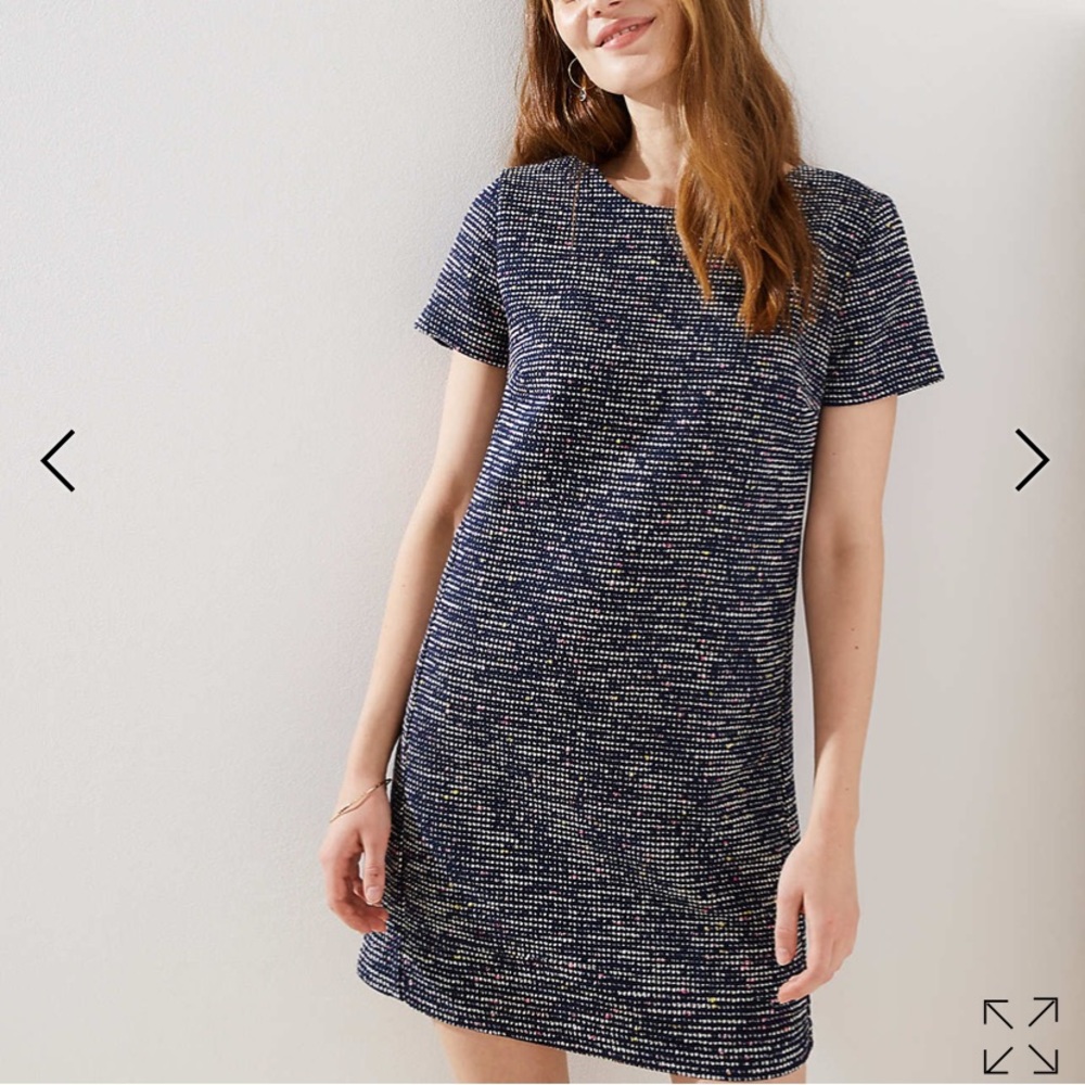 NWT Navy and Multicolor Shift Dress